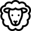 Schaf