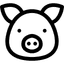 Schwein